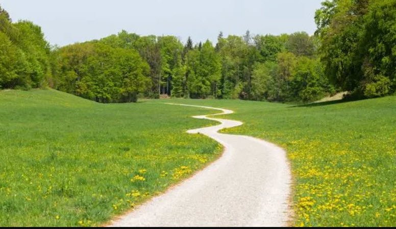 Arboretum Main-Taunus, Germany